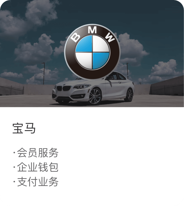 一体化支付系统合作案例